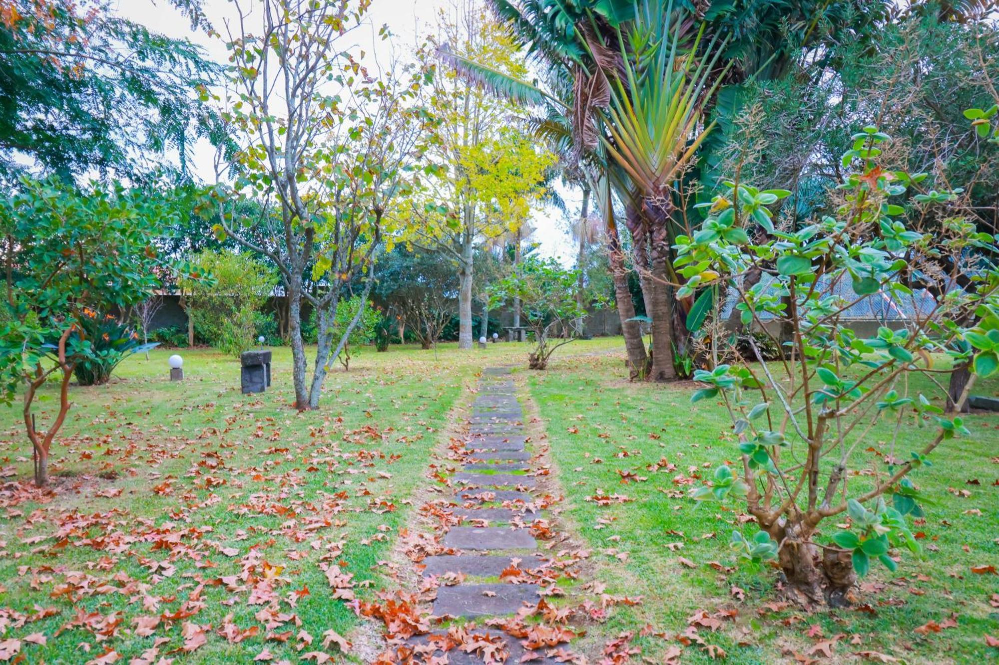 Casa Barão das Laranjeiras Ponta Delgada Exterior foto